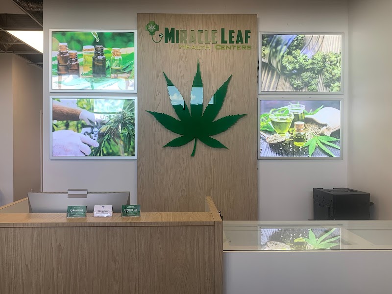 Miracle Leaf