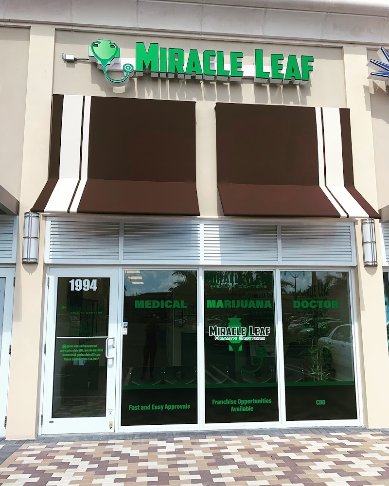 Miracle Leaf Miracle Leaf