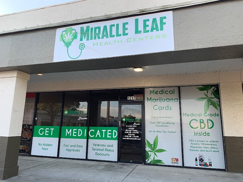 Miracle Leaf Miracle Leaf