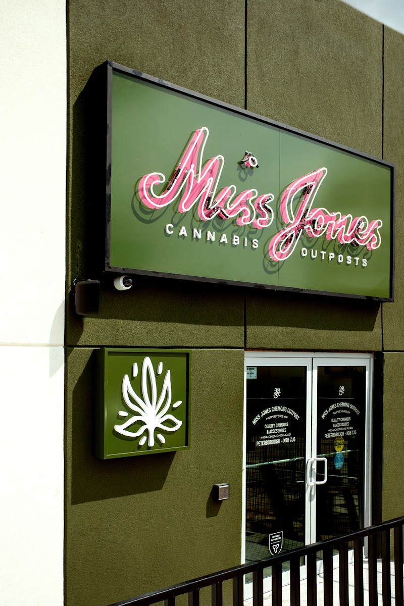 Miss Jones Chemong Outpost Miss Jones Chemong Outpost