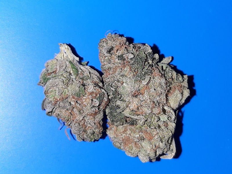 miTs Farmacy LLC