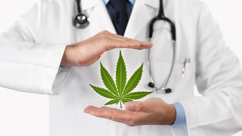 MMJ Care MD Medical Marijuana Doctor MMJ Care MD Medical Marijuana Doctor