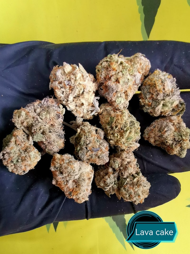 Monkey Cannabis shop Monkey Cannabis shop