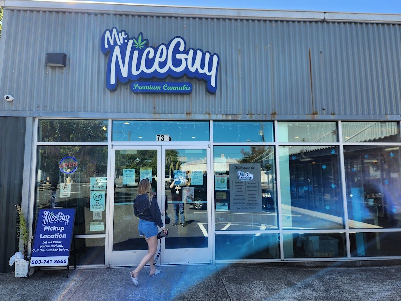 Mr. Nice Guy Mr. Nice Guy