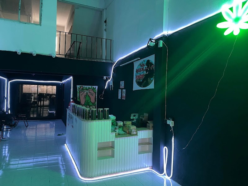 MR.MAN x N&N CANNABIS SHOP สาขา3สายในปทุม ร้านกัญชา คาเฟ่กัญชา