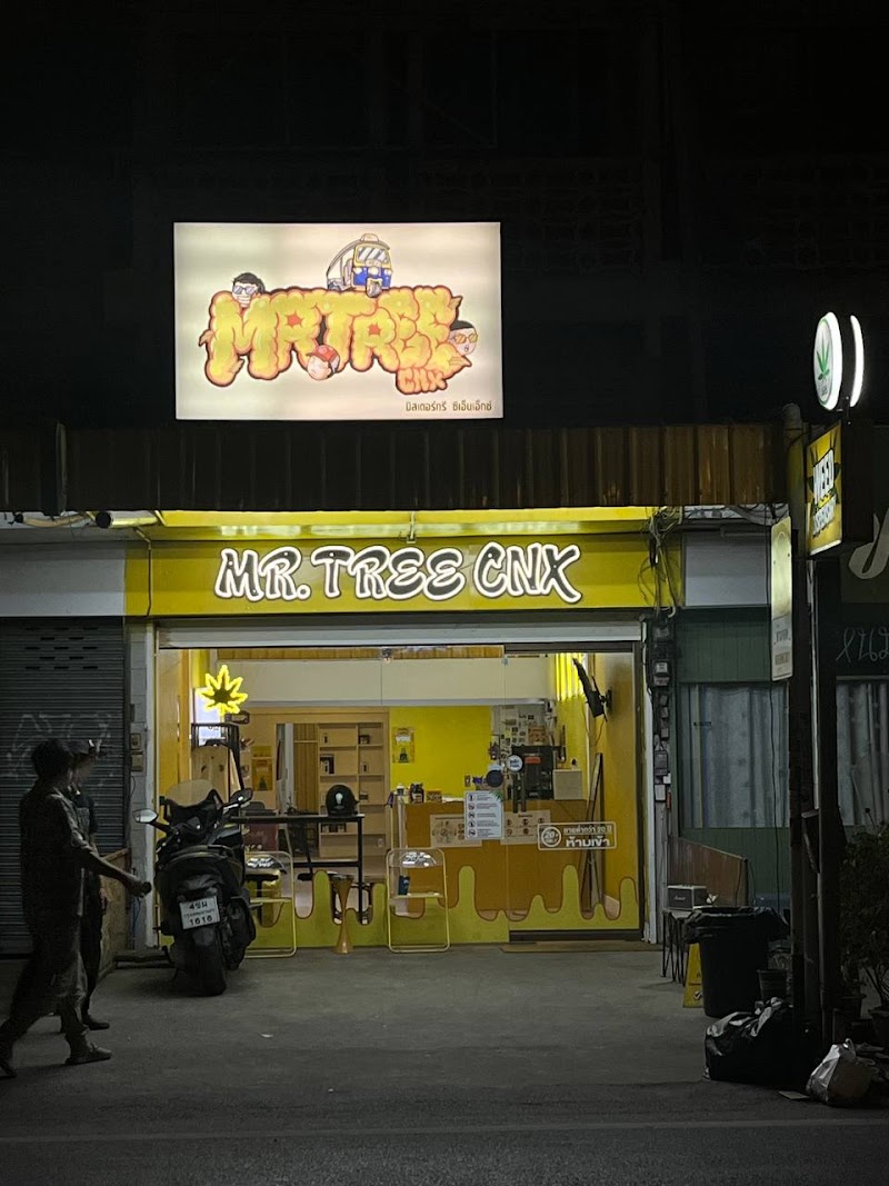 Mr.Tree CNX - Cannabis Social Club Chiang Mai