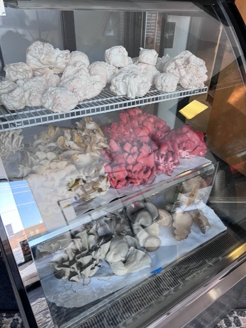 MushBetter Mushrooms MushBetter Mushrooms