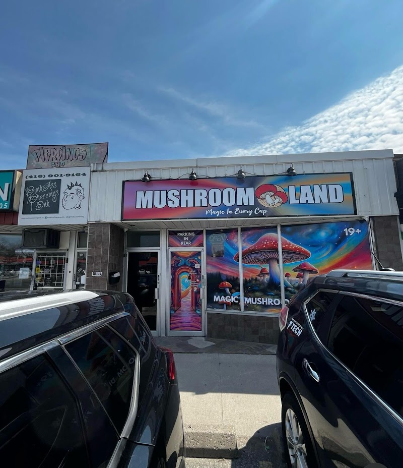 Mushroom Land Magic Mushroom Dispensary - Scarborough