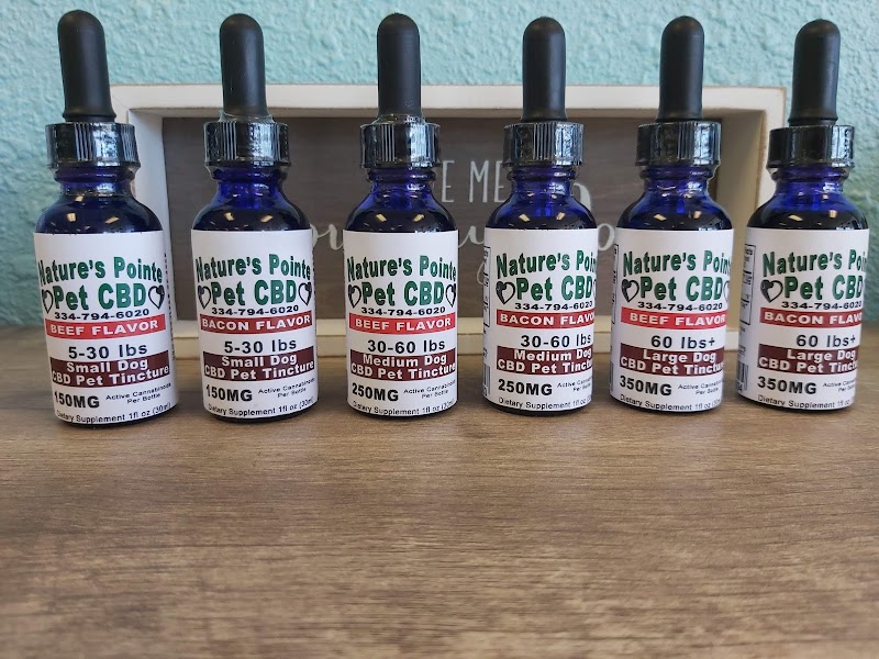 Nature's Pointe Wellness Nature's Pointe Wellness
