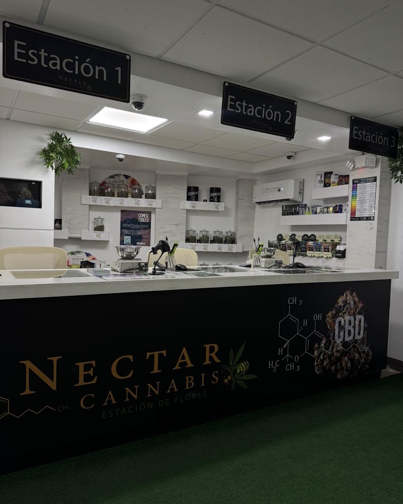 NECTAR CANNABIS