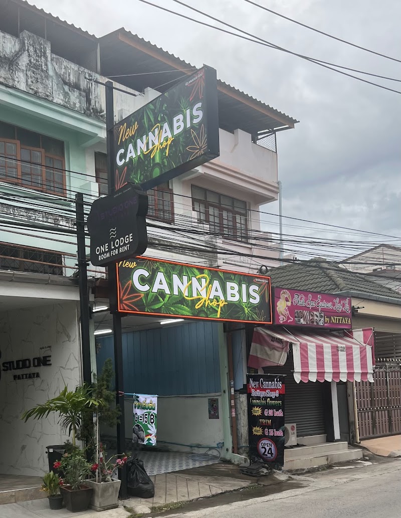 New Cannabis Shop bongkot New Cannabis Shop bongkot