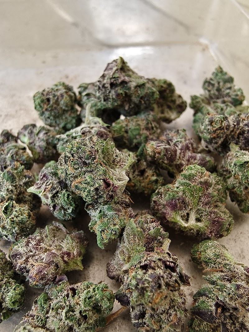 Nonpad Cannabis By.Twin Farm OG Nonpad Cannabis By.Twin Farm OG