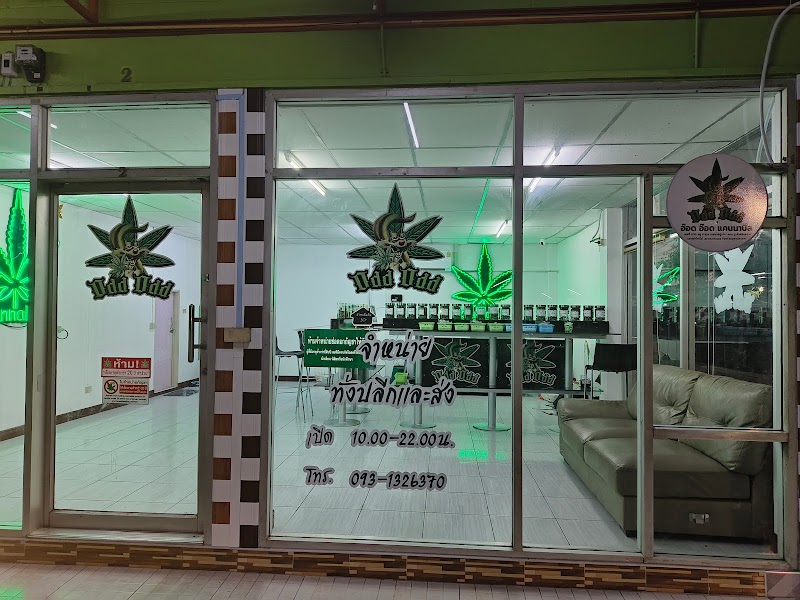 ODD ODD Cannabis (อ๊อด อ๊อด แคนนาบิส)