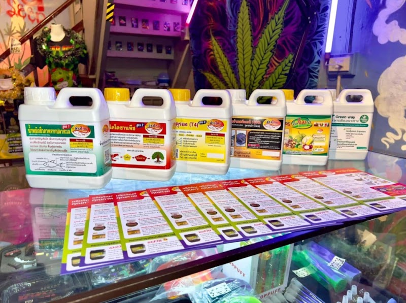 OG Seed Shop & Cannabis shop (ร้านกัญชานครศรีฯ)