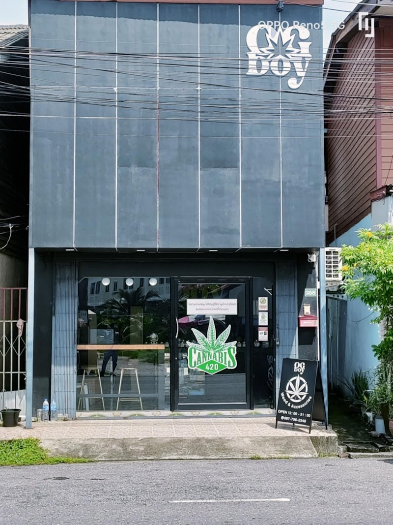 OGBOY Songkhla Thailand สาขา1