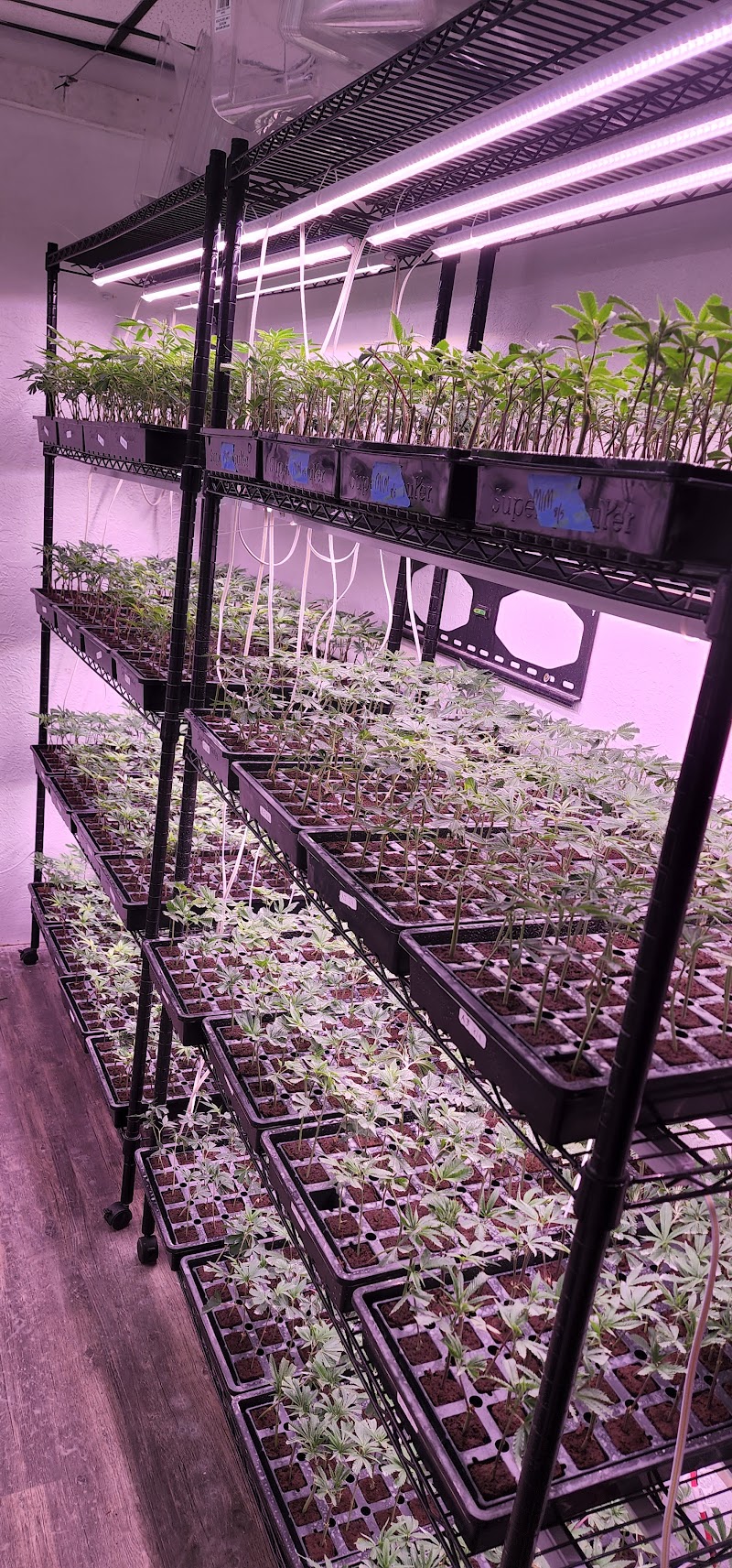 Oklahoma Clone Store Oklahoma Clone Store