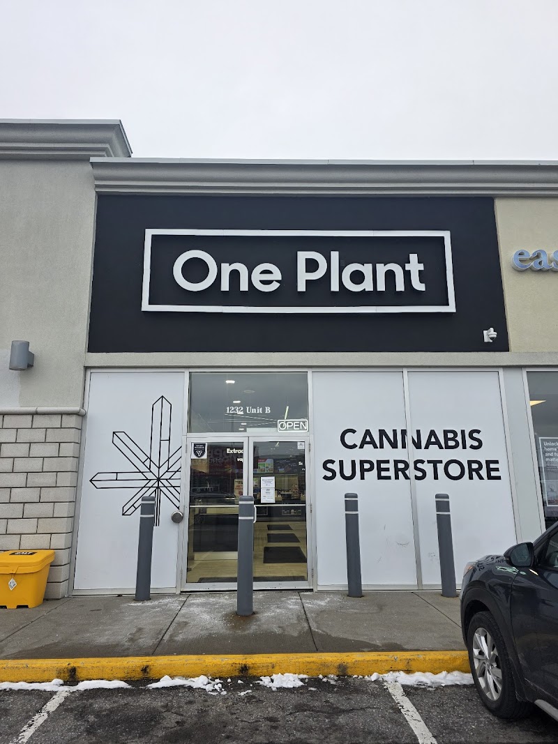One Plant - Cornwall One Plant - Cornwall