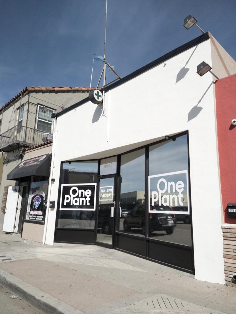 One Plant Dispensary - Castroville One Plant Dispensary - Castroville