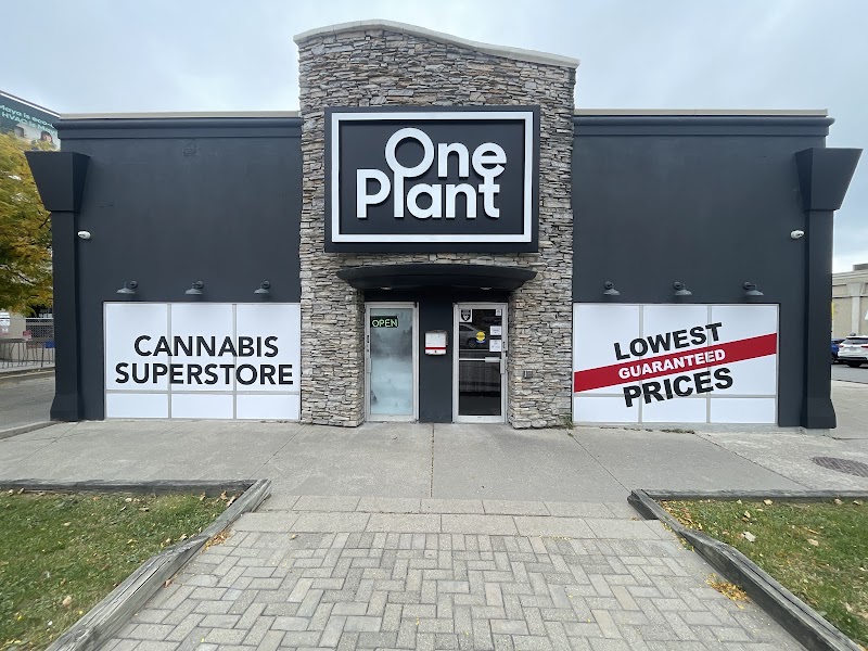 One Plant - Dundas