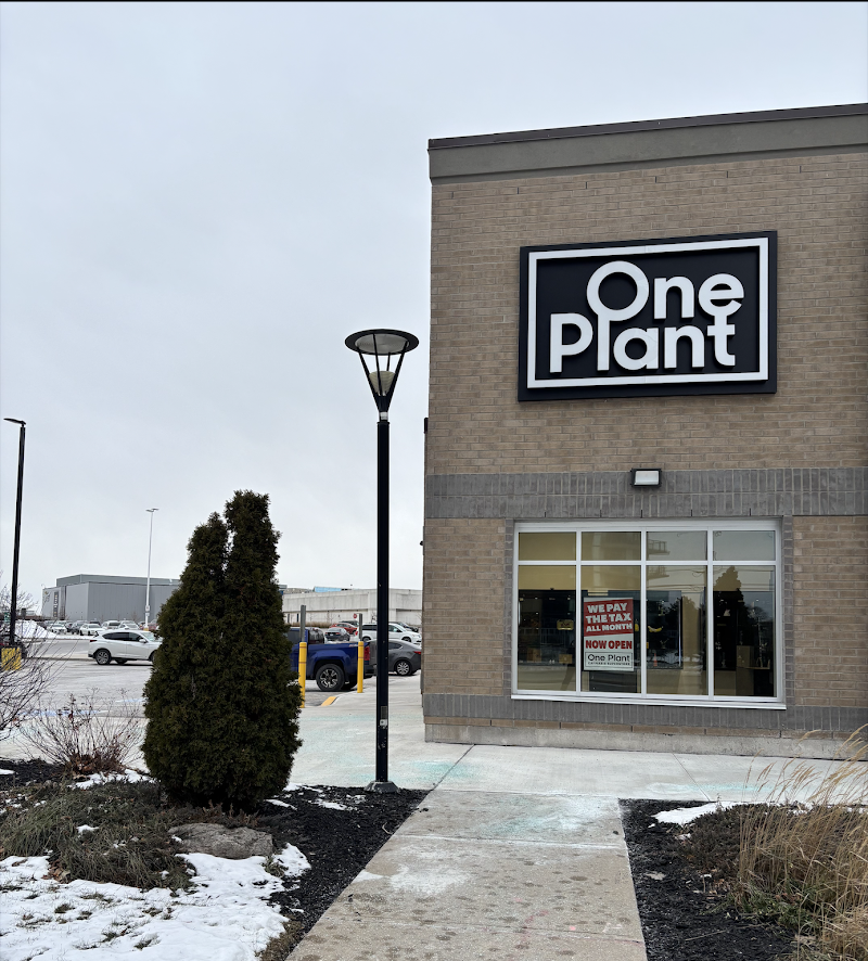 One Plant - Erin Mills