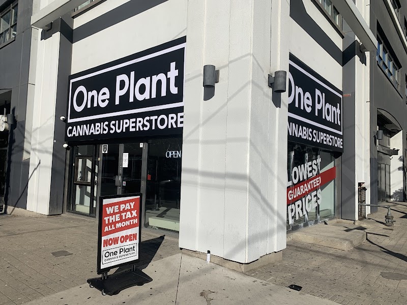 One Plant - King St. West
