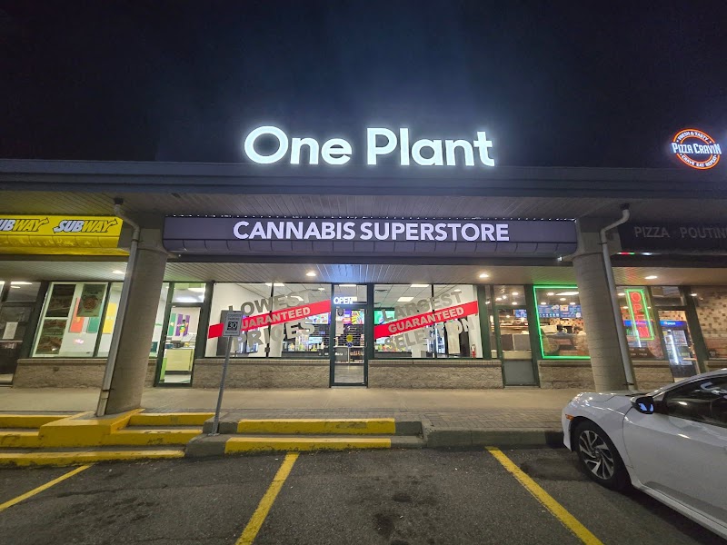 One Plant - Kitchener One Plant - Kitchener