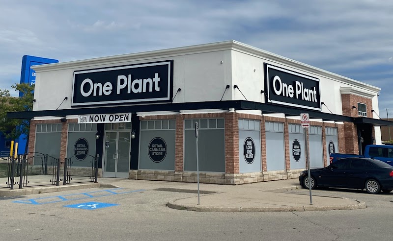 One Plant - London (Wonderland)