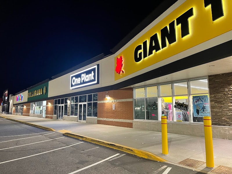 One Plant - North Bay One Plant - North Bay