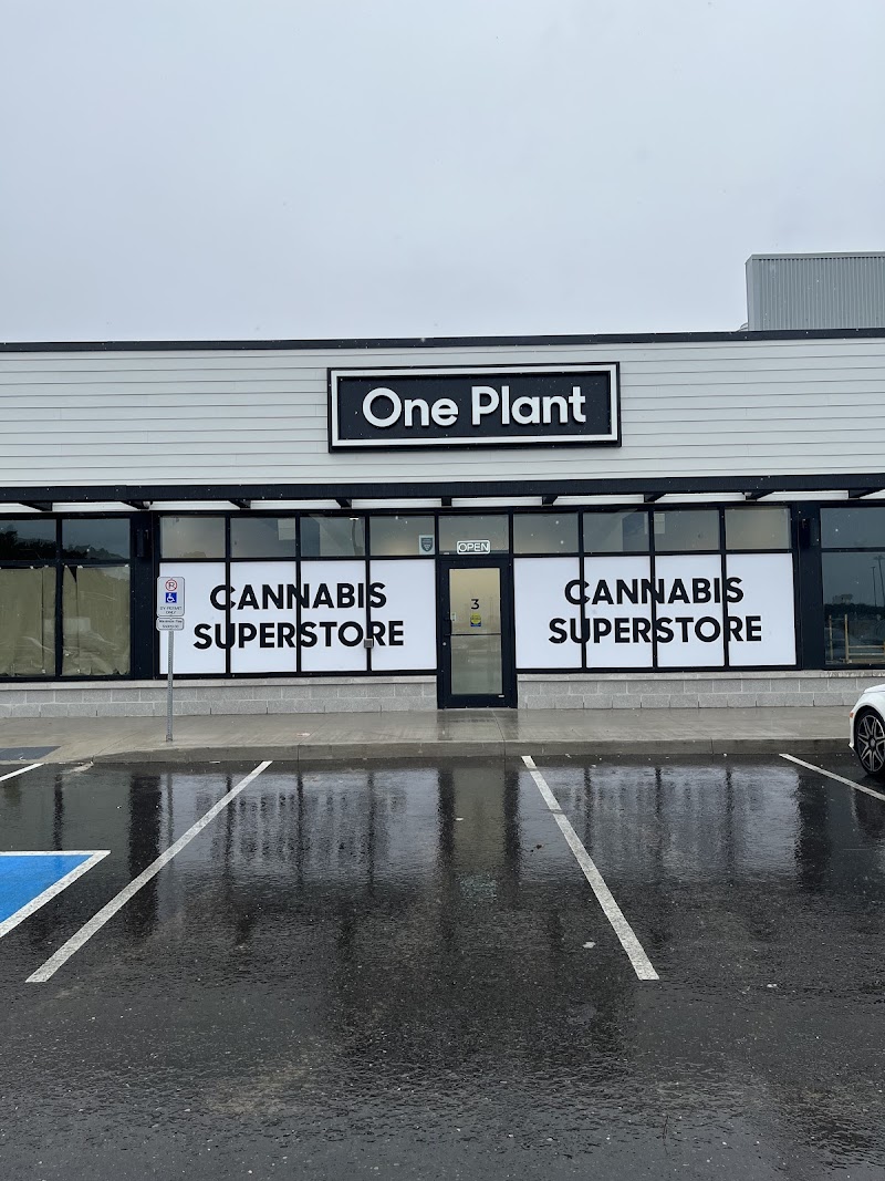 One Plant - Shelburne One Plant - Shelburne
