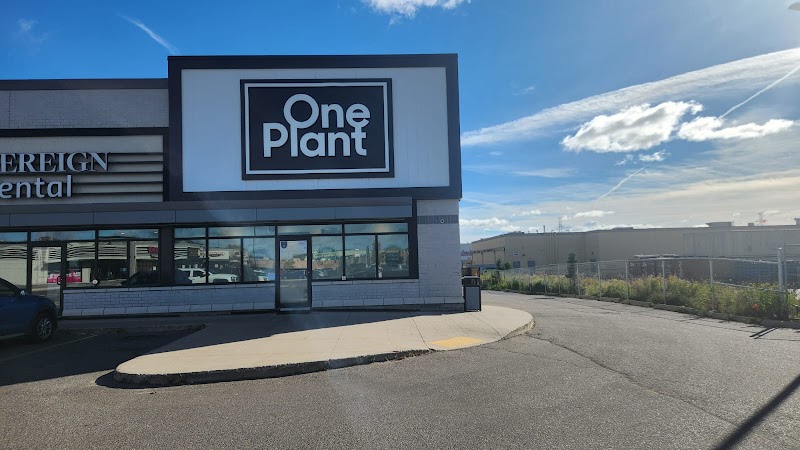 One Plant - Thunder Bay