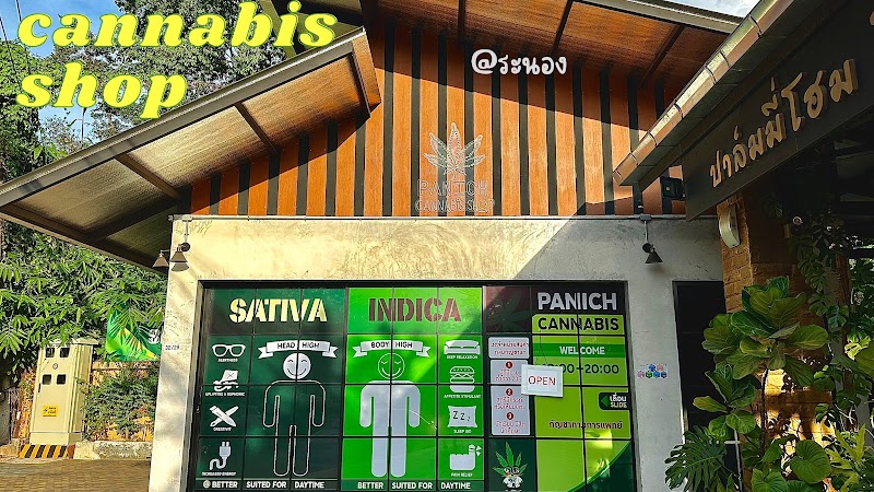PANICH CANNABIS SHOPS PANICH CANNABIS SHOPS