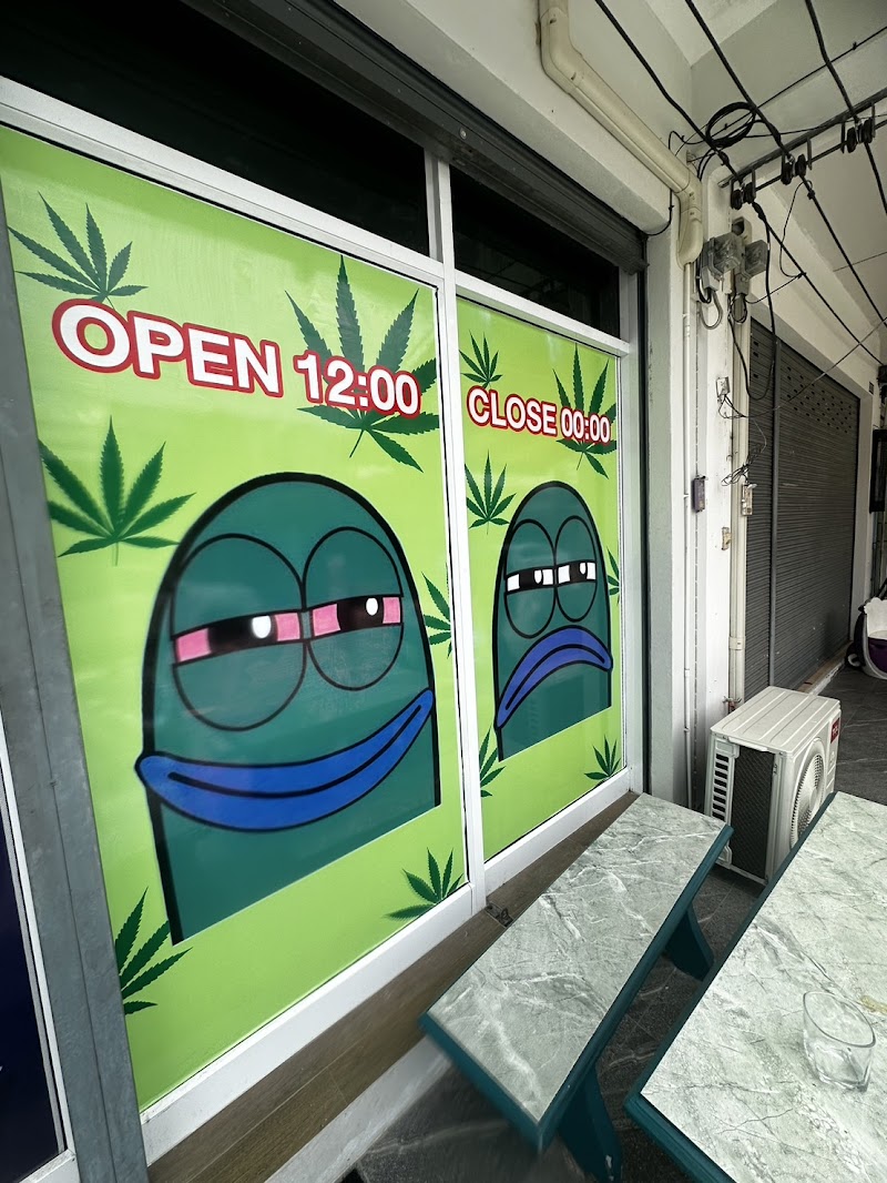 Panich cannabis Panich cannabis
