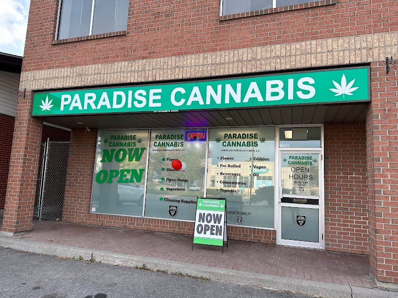 paradise cannabis