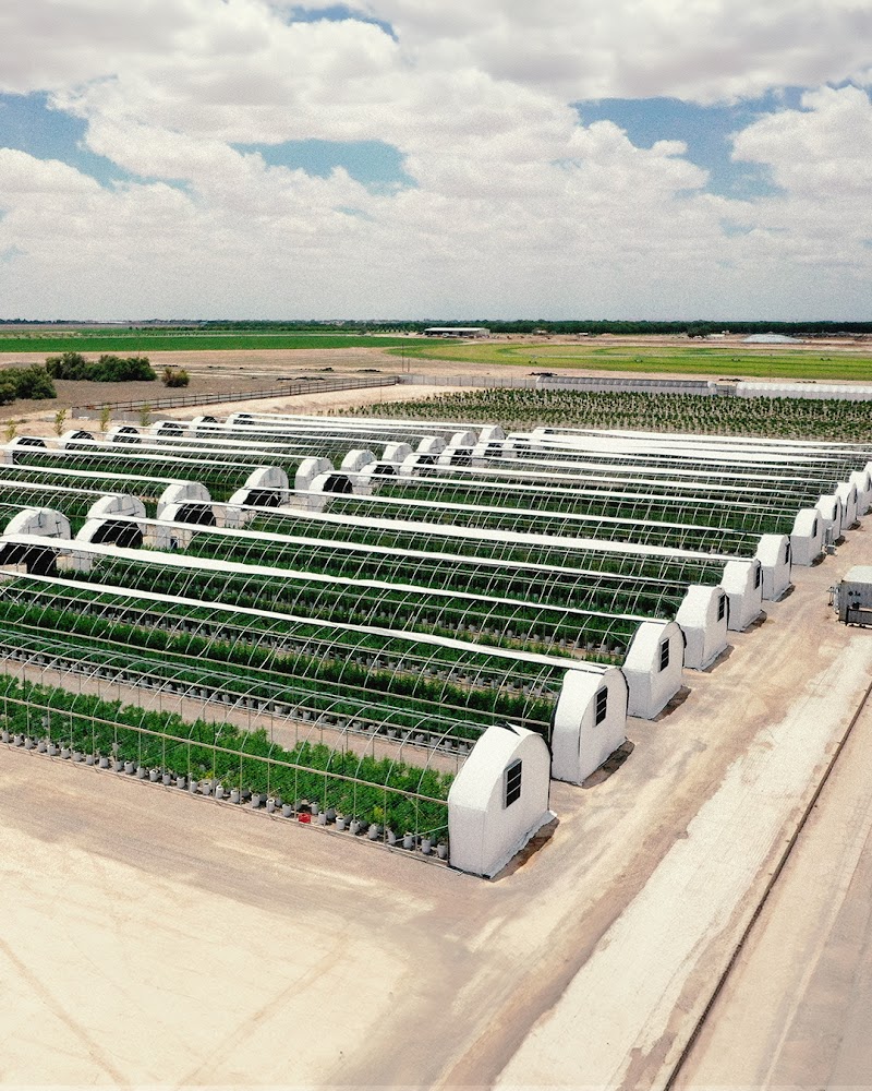 Pecos Valley Production - Dispensary & Wholesale Pecos Valley Production - Dispensary & Wholesale
