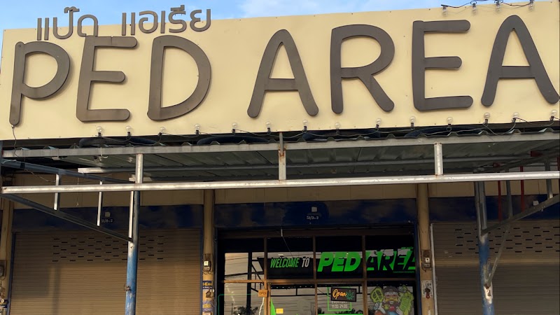 ร้านขายกัญชา แป๊ด แอเรีย Ped area Canabis ဆေးခြောက်