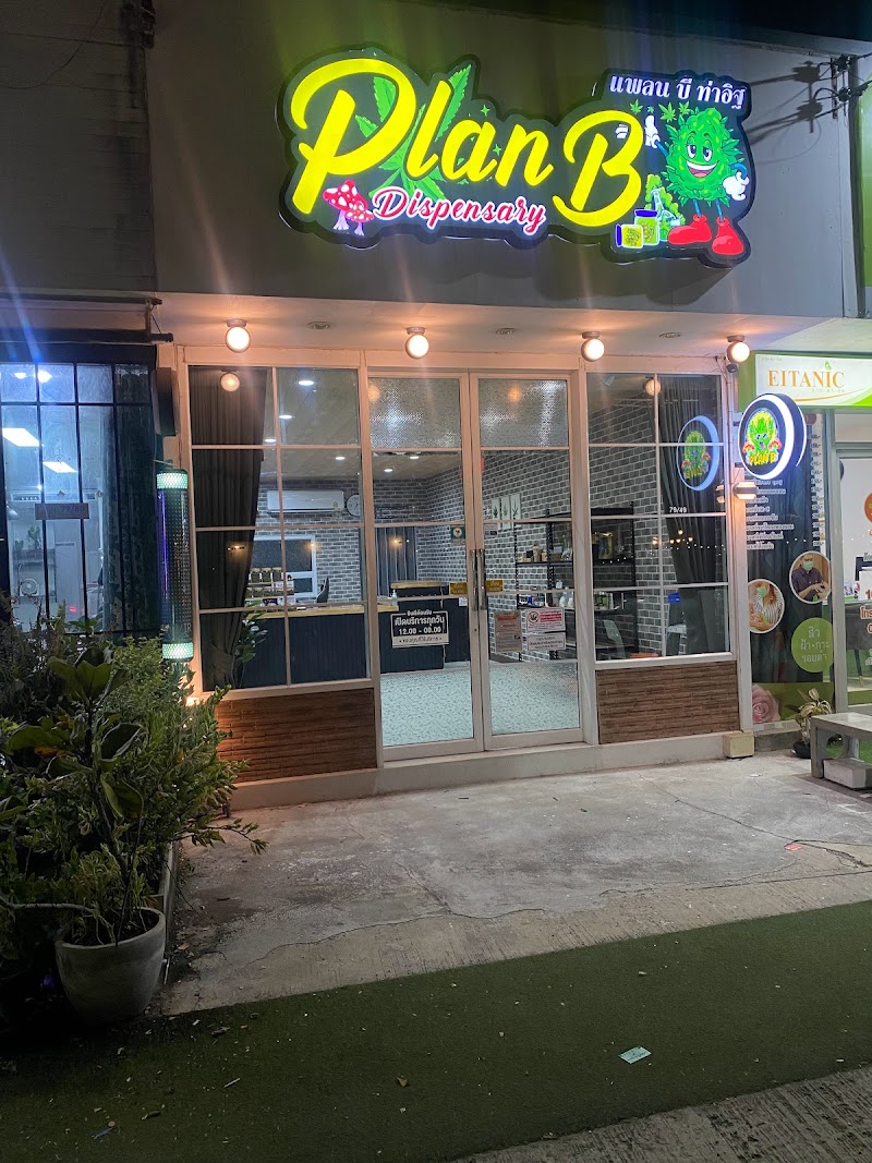 ร้านกัญชา PLAN B แพลน บี