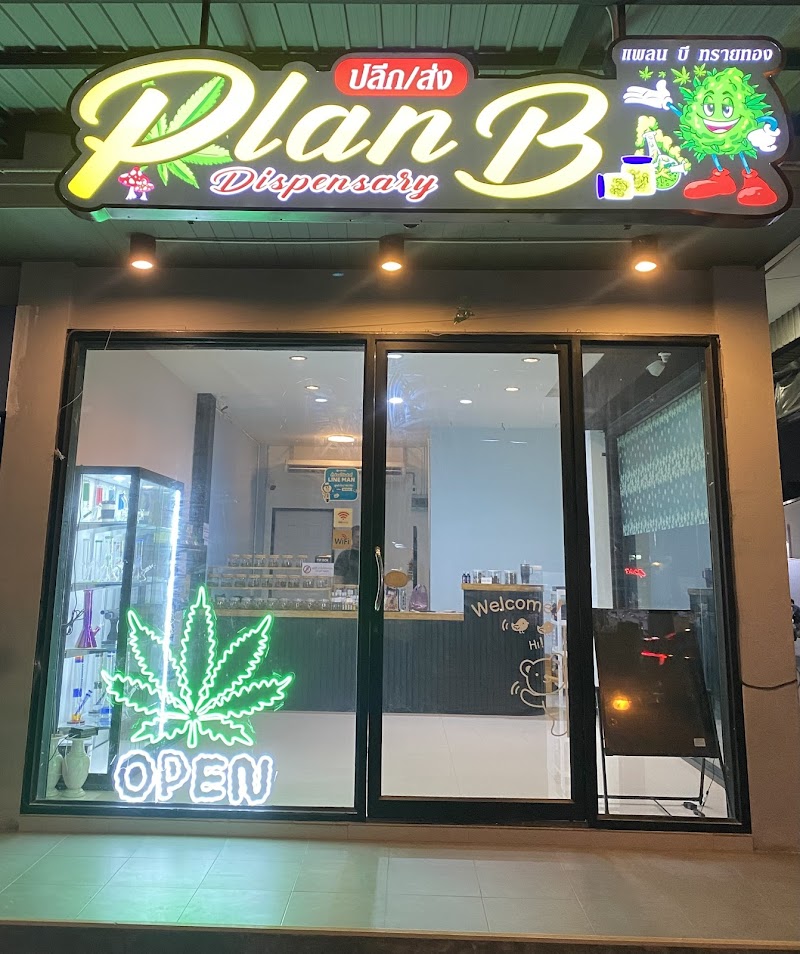 ร้านกัญชา Plan B dispensary(ทรายทอง)