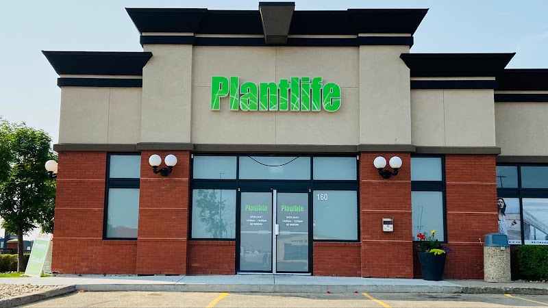 Plantlife Cannabis Camrose