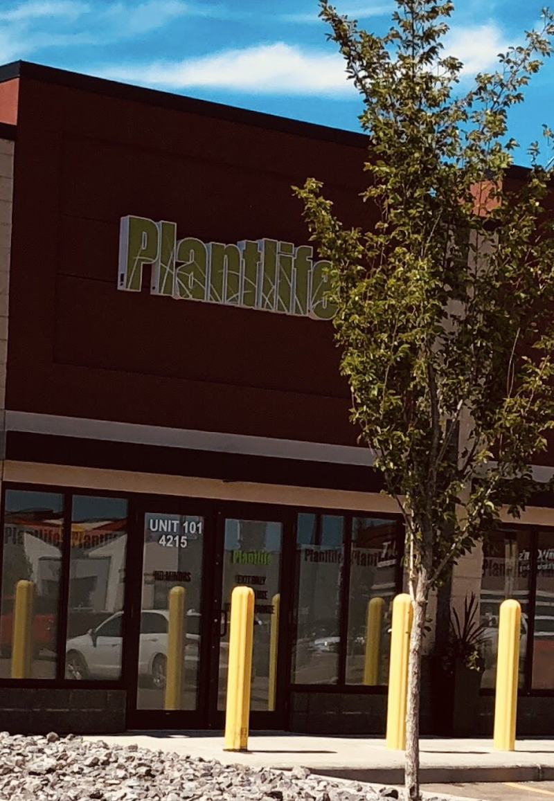 Plantlife Cannabis Lloydminster Plantlife Cannabis Lloydminster