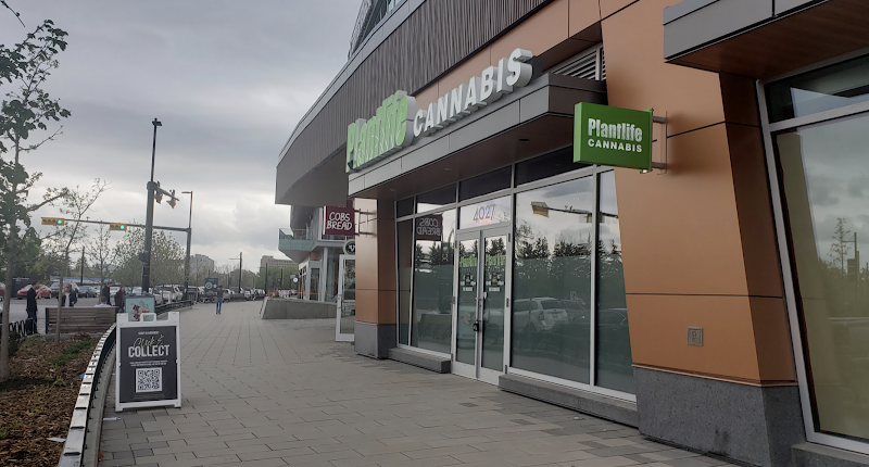 Plantlife Cannabis University District Calgary Plantlife Cannabis University District Calgary