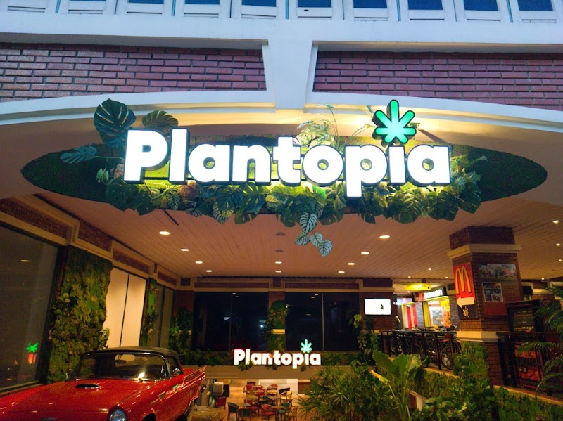 Plantopia - Weed City Plantopia - Weed City
