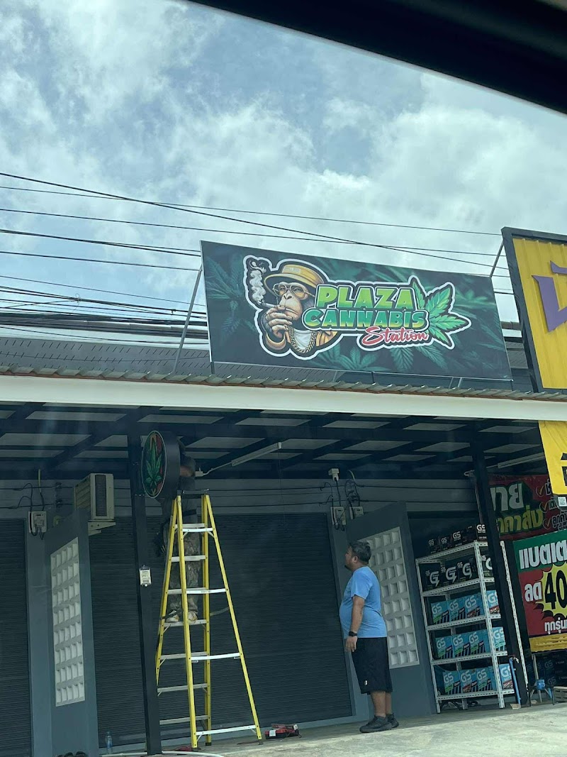 Plaza cannabis station
