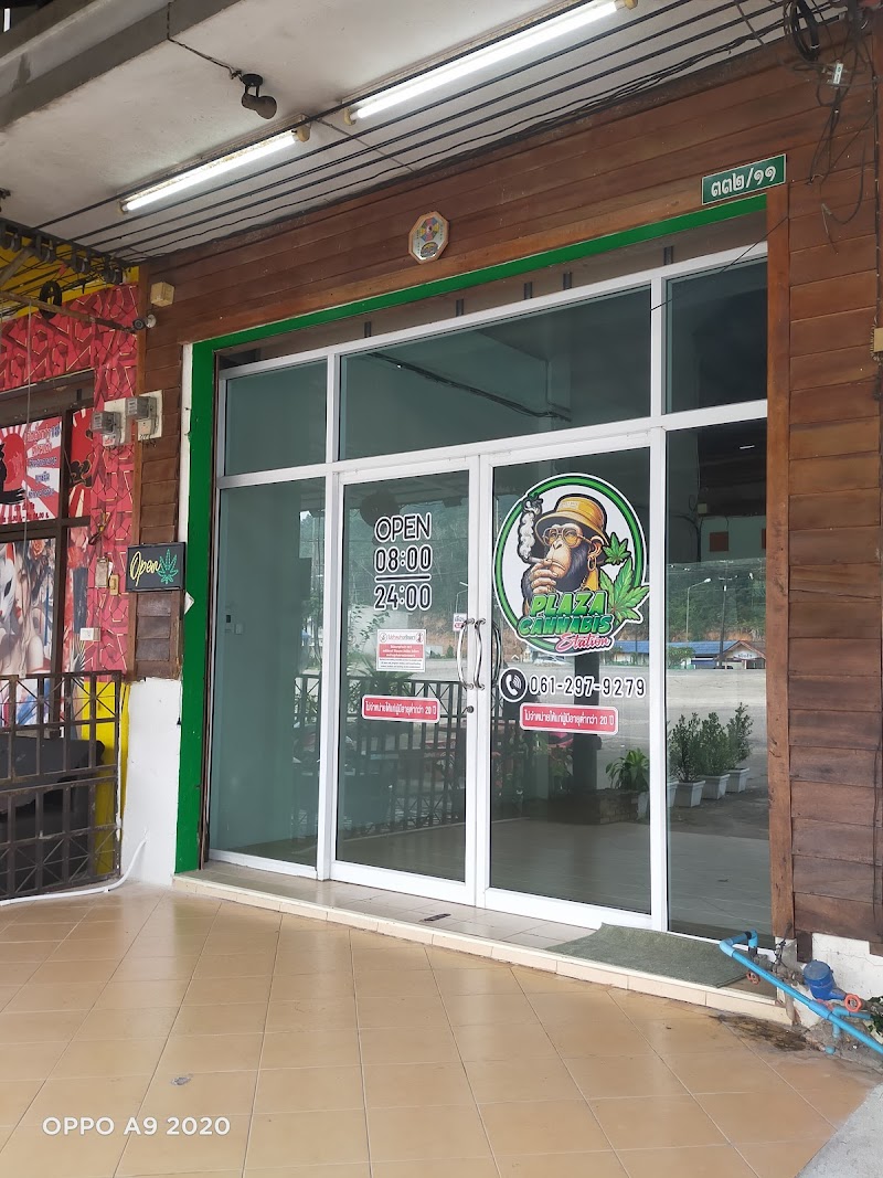plaza cannabis station 2