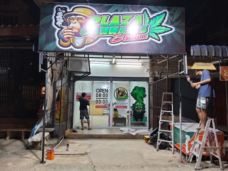 Plaza cannabis station 3