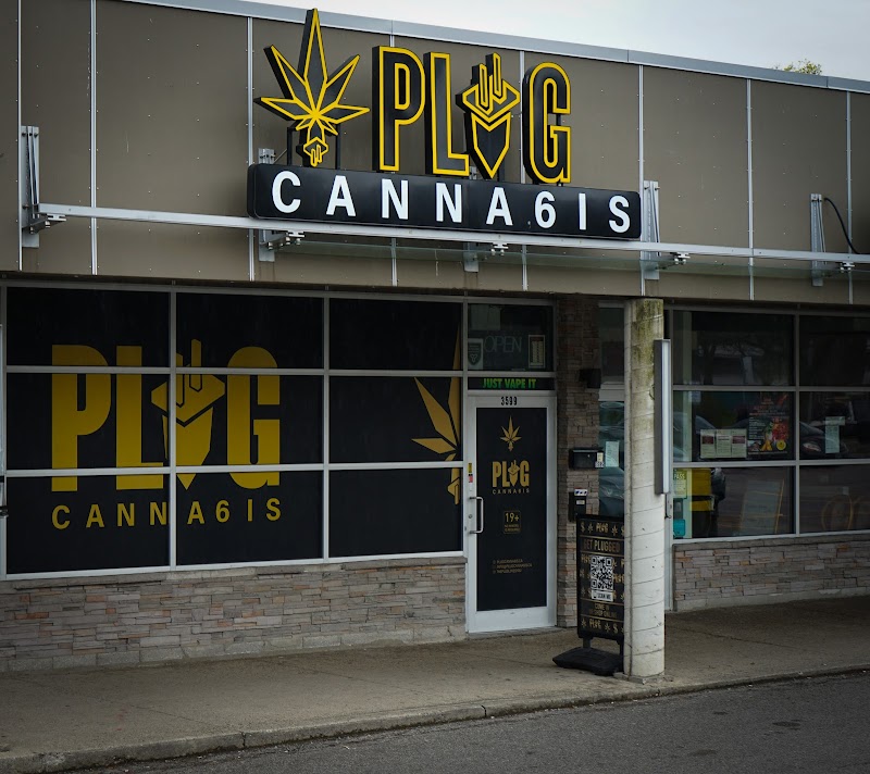 Plug Canna6is | Cannabis Dispensary Store Scarborough Plug Canna6is | Cannabis Dispensary Store Scarborough