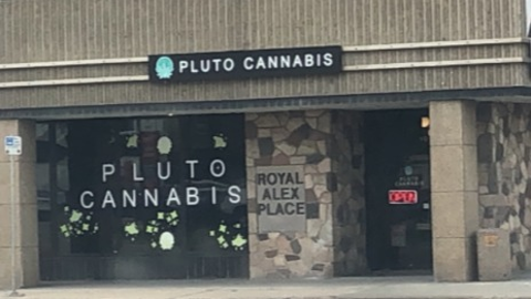 Pluto Cannabis
