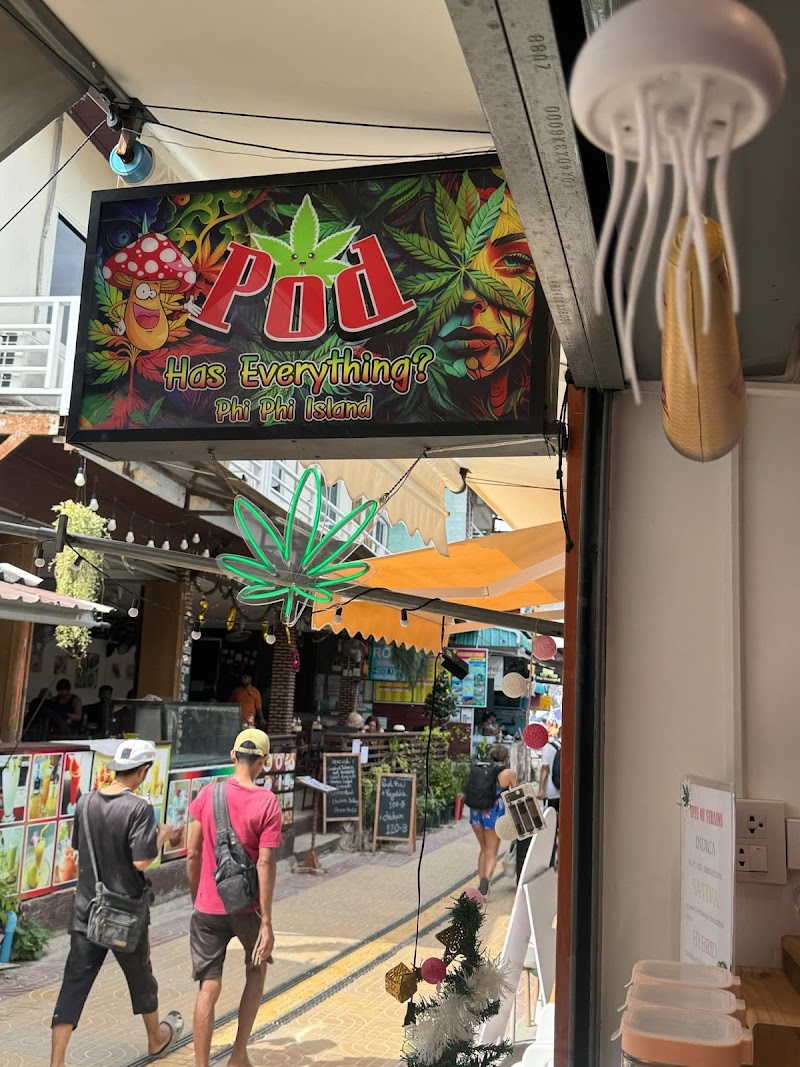 Pod Has Everything？Phi Phi Island