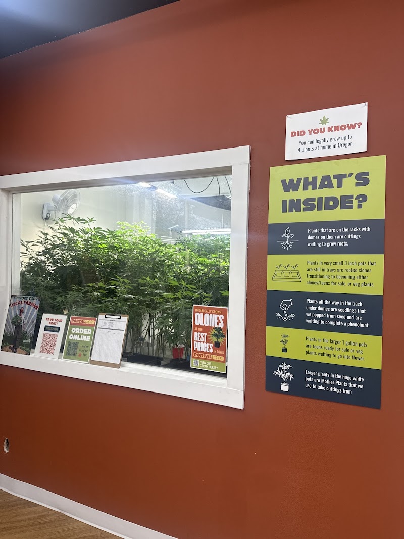 Portal 503 - Portal Cannabis Dispensary Portal 503 - Portal Cannabis Dispensary