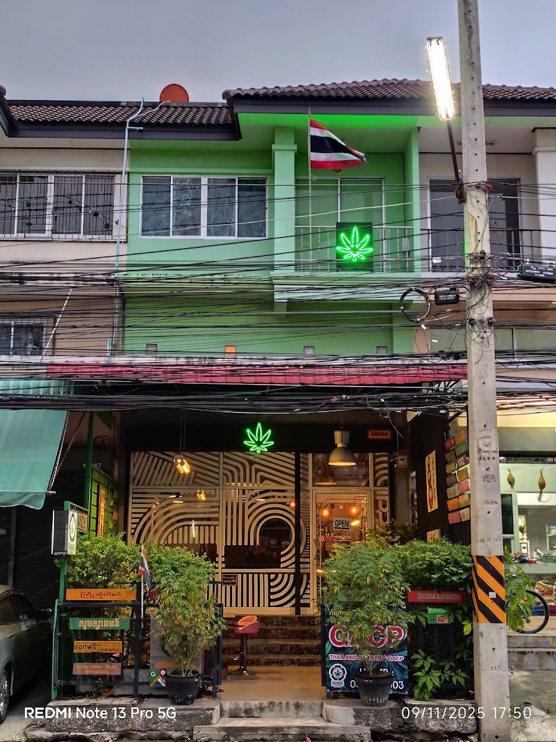PProwess Cannabis Shop 大麻,マリファナ,コーヒーショップ PProwess Cannabis Shop 大麻,マリファナ,コーヒーショップ