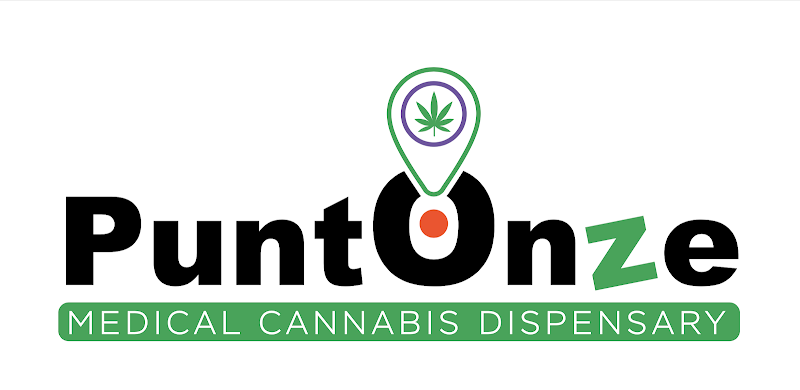 PuntOnze